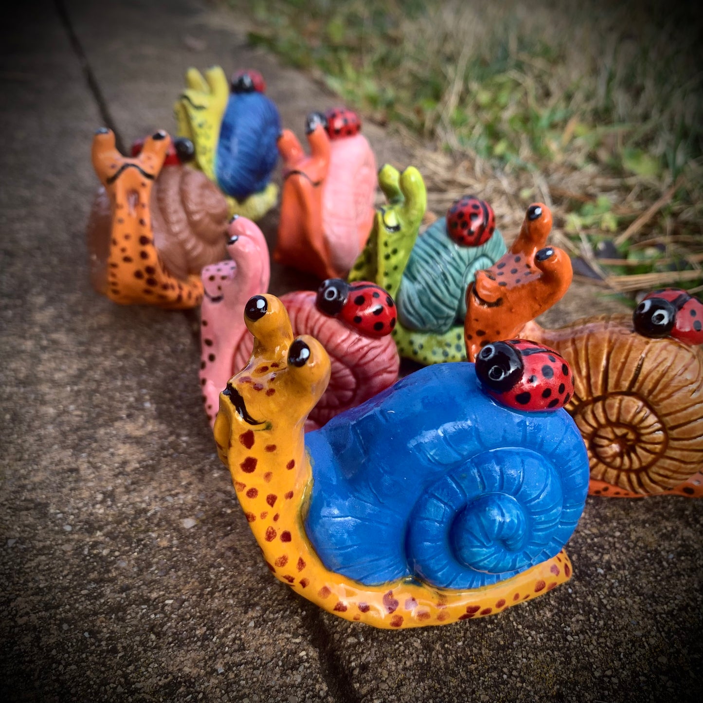 Snails with Ladybug